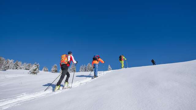 Teambuilding sur mesure avec la Cie des Guides