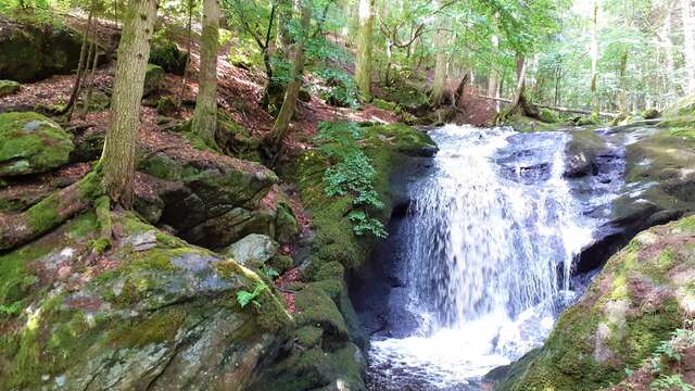Randonnée à la cascade