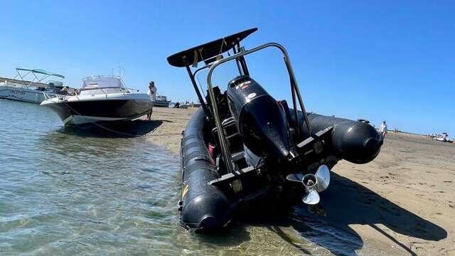 Meeresausflug Banc du bucheron (5h) - Abfahrt von La Flotte - von Tex