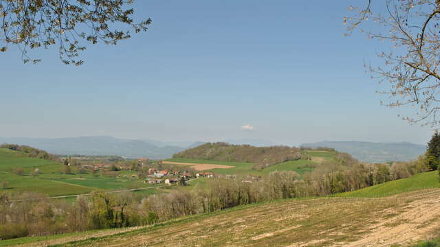 MTB trail n°4 - The heights of La Batie-Divisin