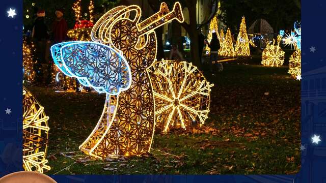 Lancement des illuminations de Noël
