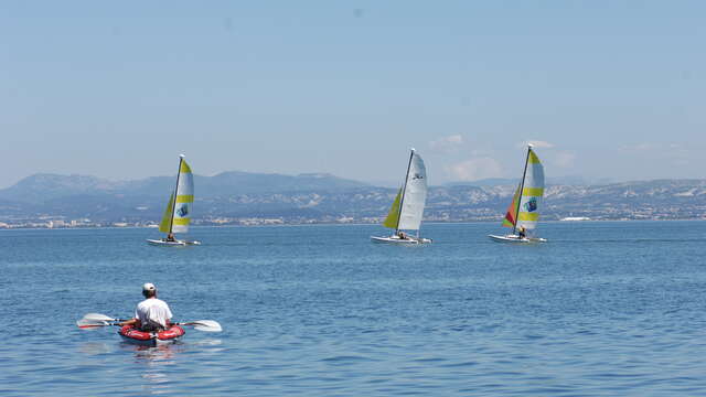 Planche à voile