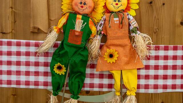 Folie(s) Végétales 2026 - Spectacle les Z'abeilles