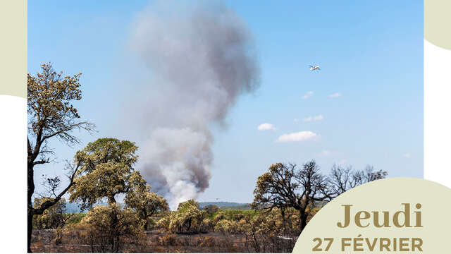 Conférence : "Les incendies : quelles conséquences sur la biodiversité"