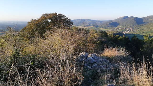 Balade - La Crête de Montcel