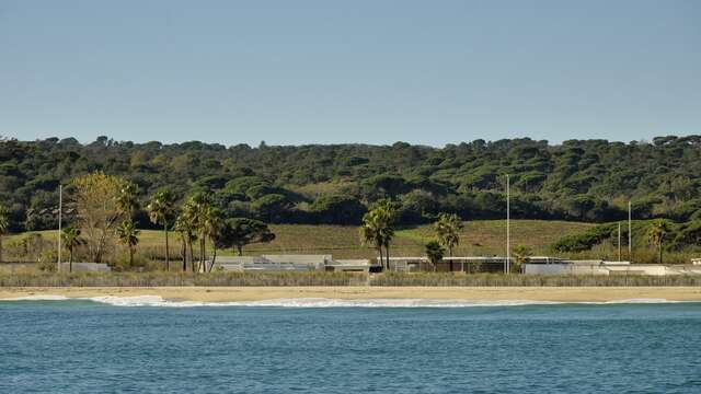 Landschaft zwischen Land und Meer an der Côte des Maures