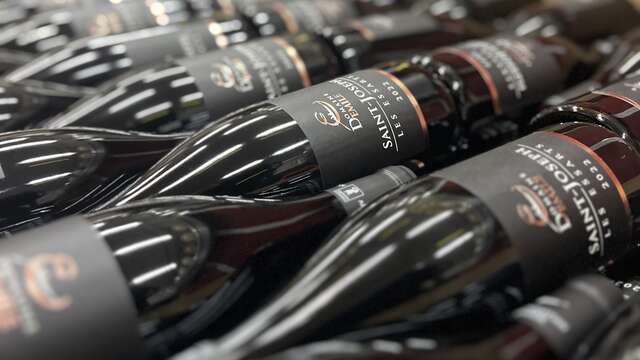 Visite et dégustations vins