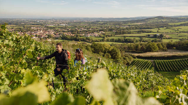 GR® de Pays Côtes du Forez Nord