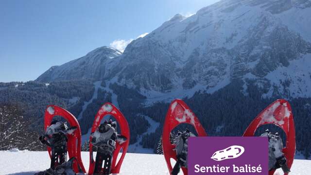 La Pellaz - Winter hike