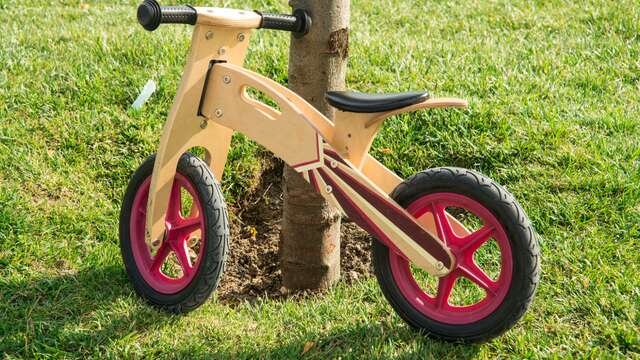Activité draisienne durant la Coupe du Monde de VTT Trial
