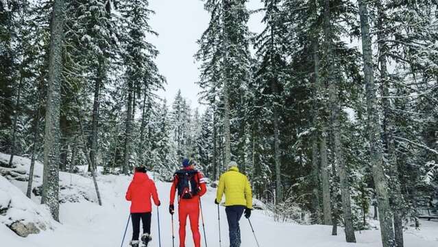 Initiation / encadrement sortie raquettes à neige