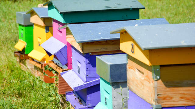 Le Rucher Saint Gervais