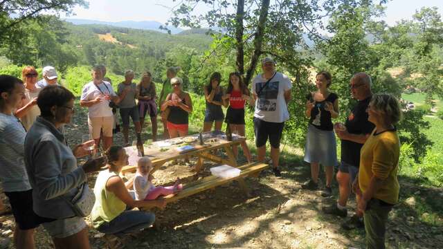 Visite des vignes - Domaine Peylong