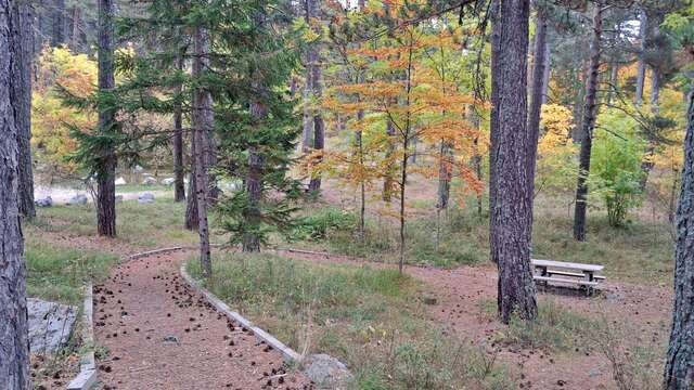 Aire de pique nique du Col de Fontbelle