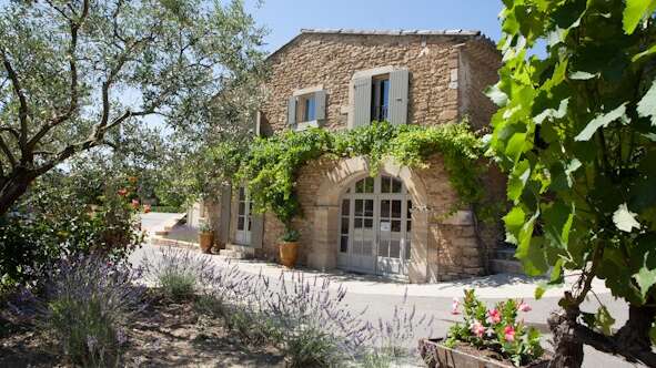 Domaine de Montine - Vigneron & Trufficulteur