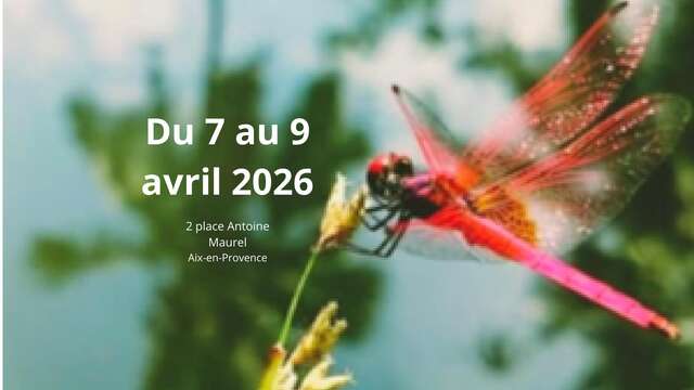 Enchanter le Ruisseau des Corneilles