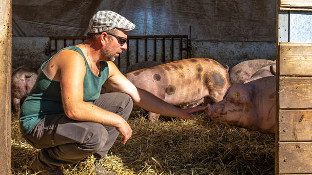 La Ferme des Bichoux