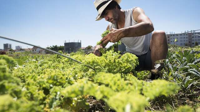 Ferme urbaine - Zone Sensible