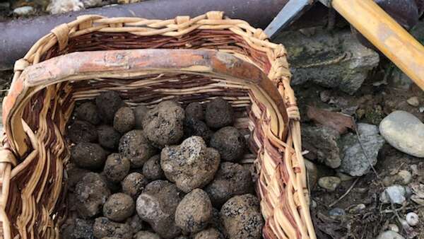 Marché aux Truffes - Gréolières
