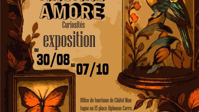 Exposition - Curiosités - Arcane Amore