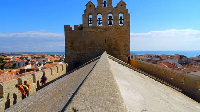 Autour des Saintes-Maries-de-la-Mer