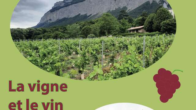 La vigne et le vin à Biviers