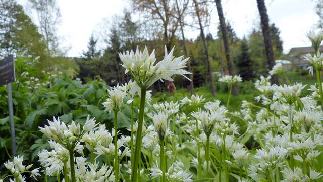 Découverte du Jardin botanique