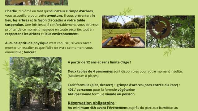 Repas suspendu dans les arbres