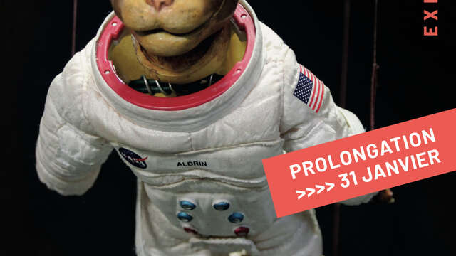 ¿Los animales significan algo para usted?