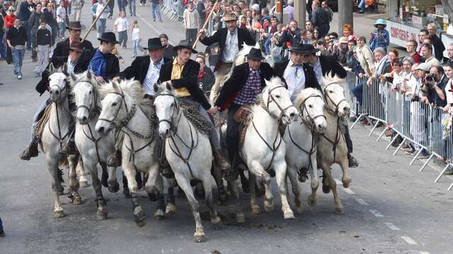 Les taureaux dans les rues - Feria du riz