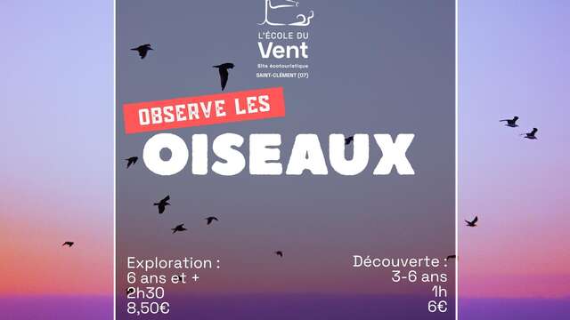 Observe les oiseaux - Exploration