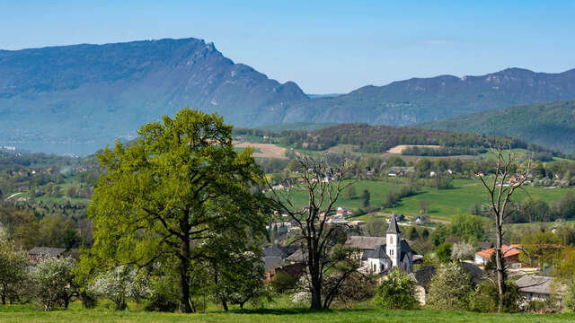 Circuit de l'Albanais - Itinéraire cyclo
