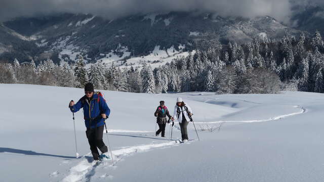Balade raquettes dynamique La Féclaz ou Le Revard.