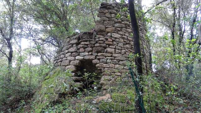 JEP 2025 : "Lire une architecture ruinée, en Cévennes