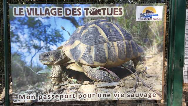 Le Village des Tortues