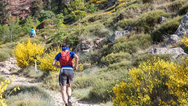 Trail de l'Aygueneyre