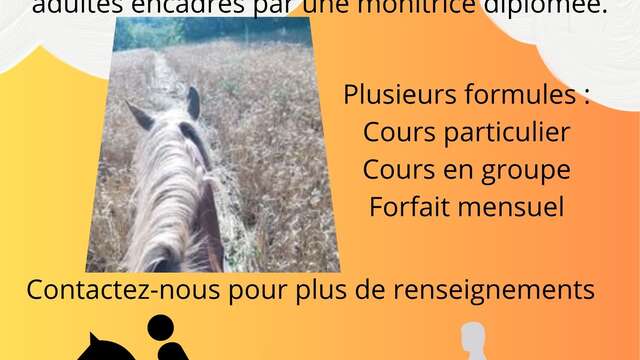 Entre lac et colline : l’équitation autrement à Bauduen