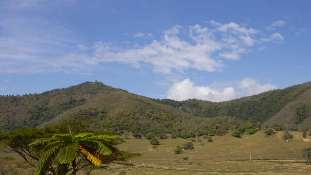 Camping à Tchamba