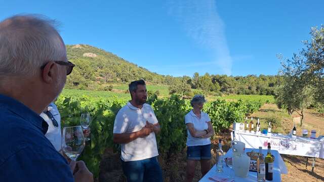 Open Day at Domaine de Favanquet