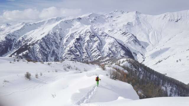 Sur les traces des chamois