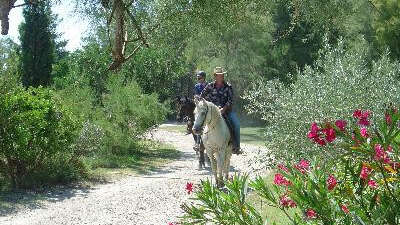 Balade à cheval à la Bergerie d'Alivon