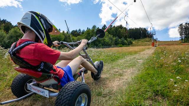 Mountain kart