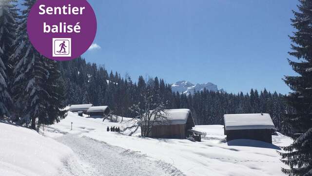 Fimaloz (Agy) - Randonnée hivernale