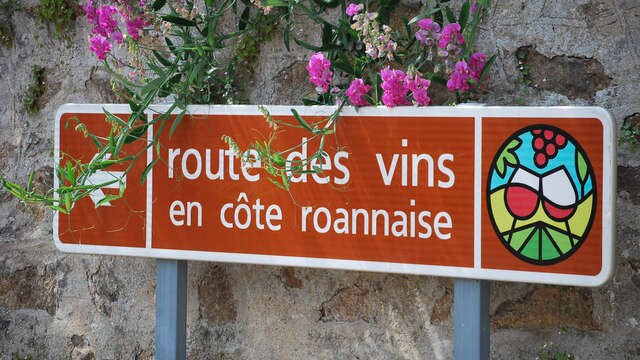 Route des Vins Forez-Roannais en Loire Volcanique (Côte Roannaise)