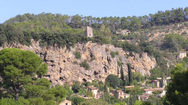 A travers la forêt du Bessillon