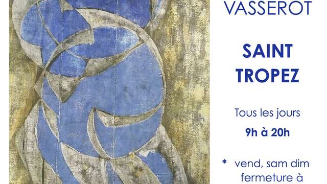Exposition du Lavoir Vasserot -Mouss