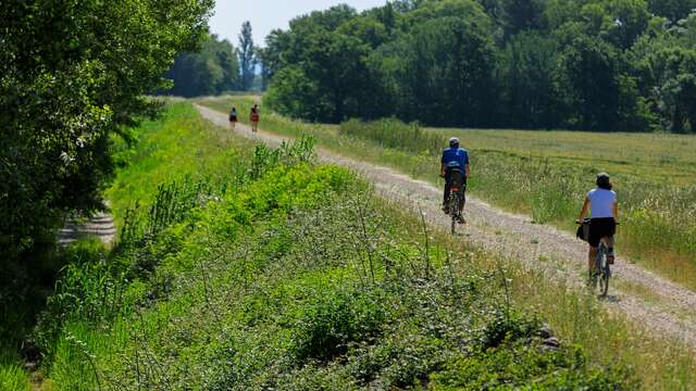 Véloroute Vers la Durance à vélo : Tronçon Mallemort - La Roque d'Anthéron 