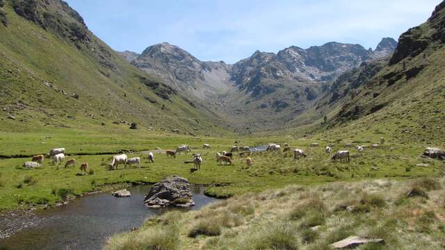 Vallée de Soulcem