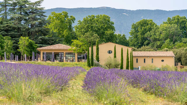De la vigne au verre au Château de Sannes