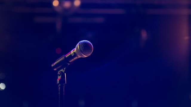 Karaoke at the Green Monkey Pub